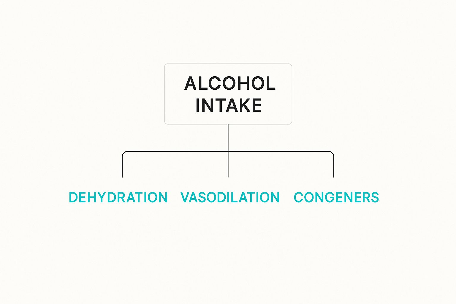 Infographic about why does alcohol cause headaches