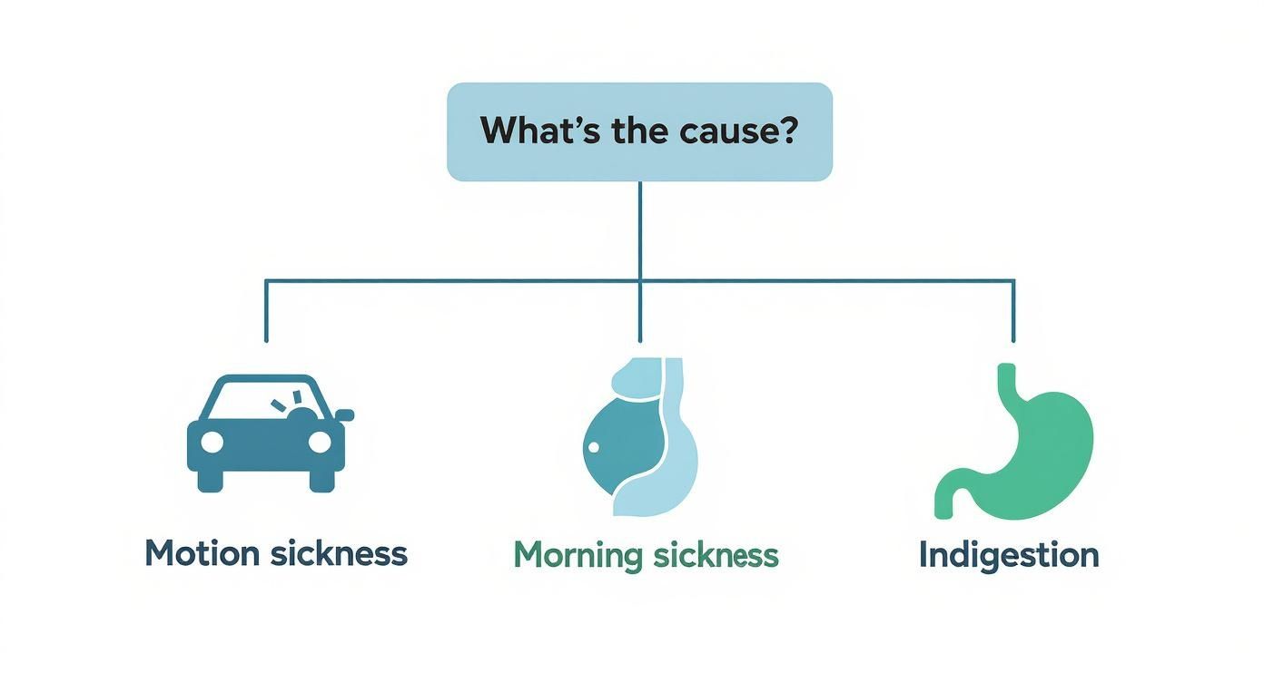 Infographic about how to reduce nausea naturally
