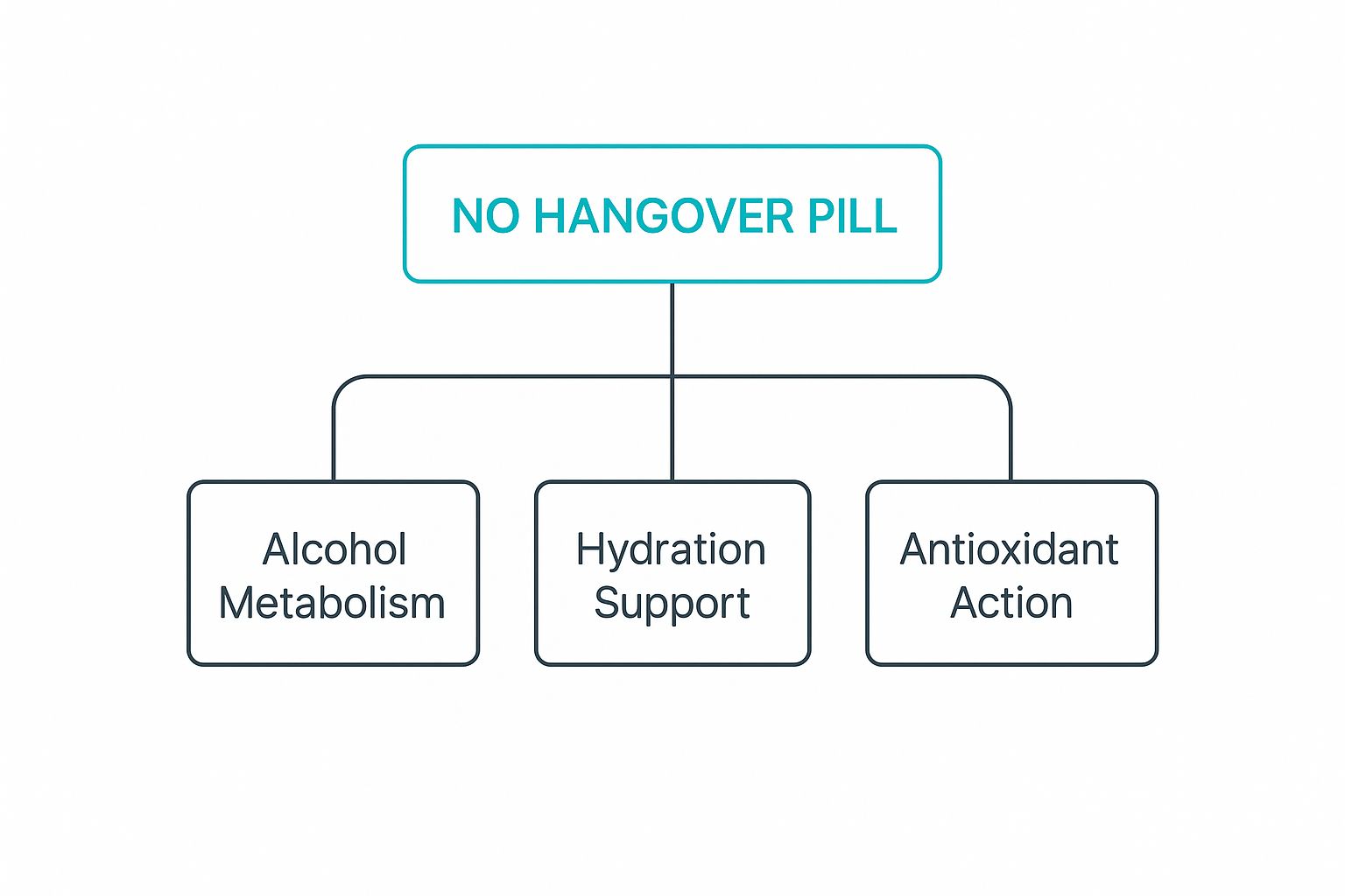 Infographic about no hangover pill