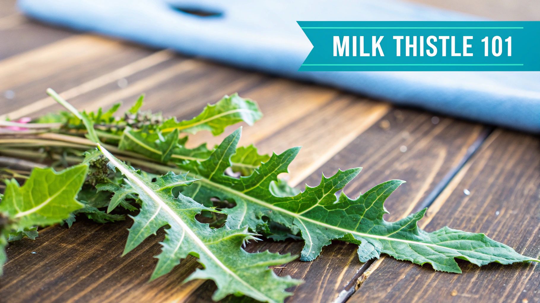 Milk Thistle