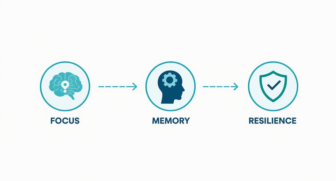 Infographic about benefits of korean ginseng extract