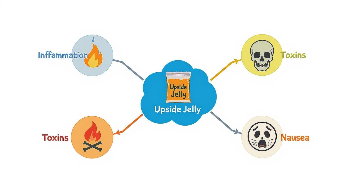 Infographic about best natural hangover remedy