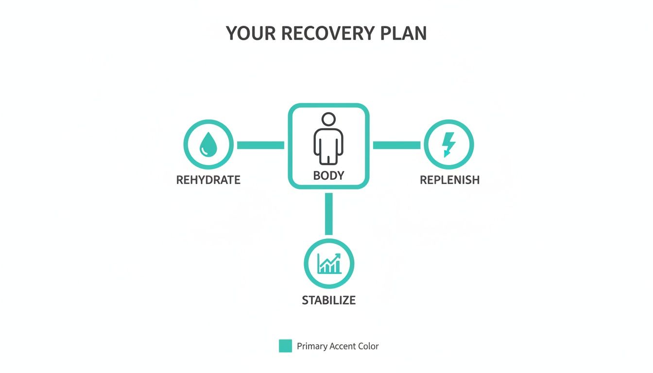 Diagram outlining a body recovery plan with steps: Rehydrate, Replenish, and Stabilize.