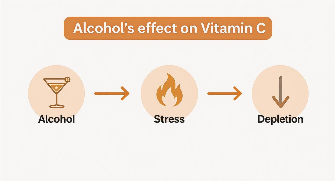 Infographic about vitamin c and hangovers