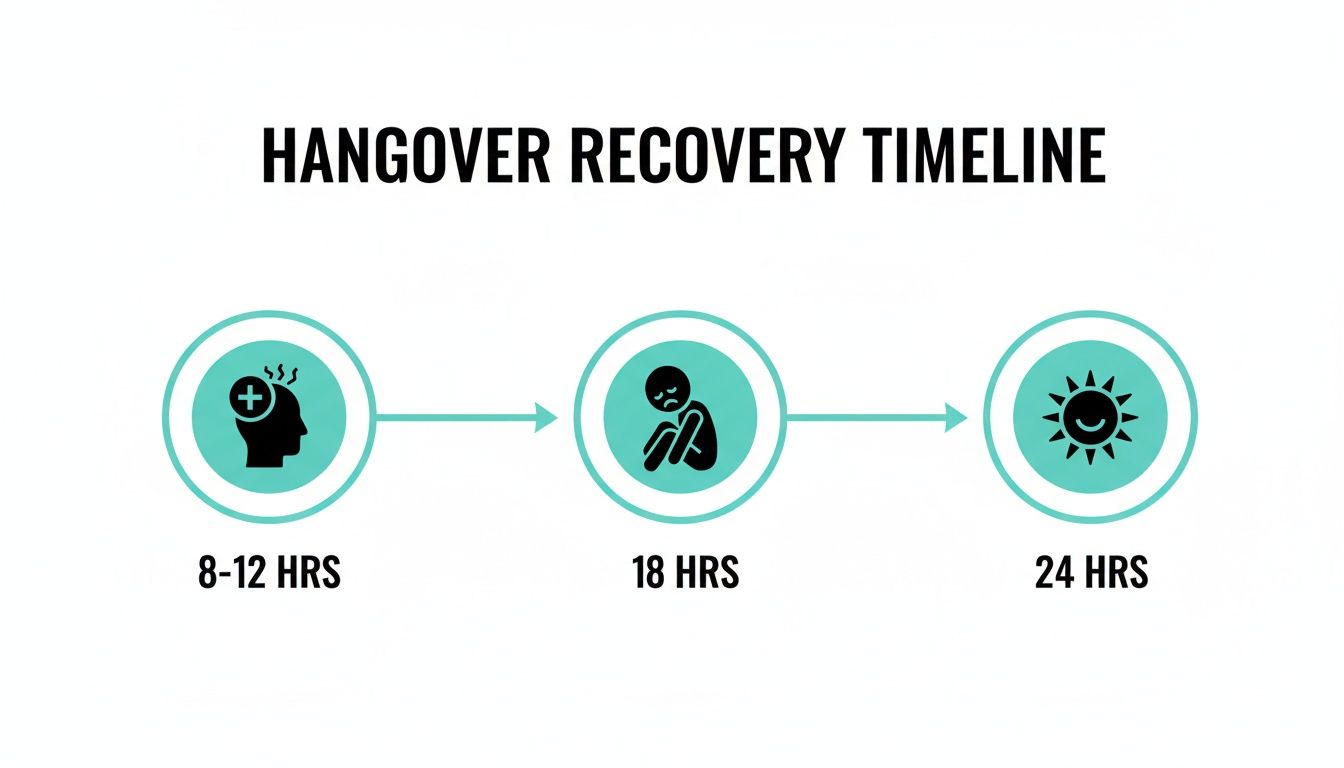 Infographic illustrating the hangover recovery timeline, showing symptoms and progression over 8-24 hours.
