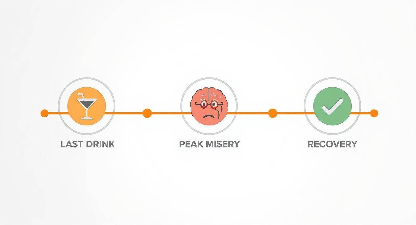 An infographic timeline showing the stages of a hangover: last drink, peak misery (sad brain), and recovery (checkmark).