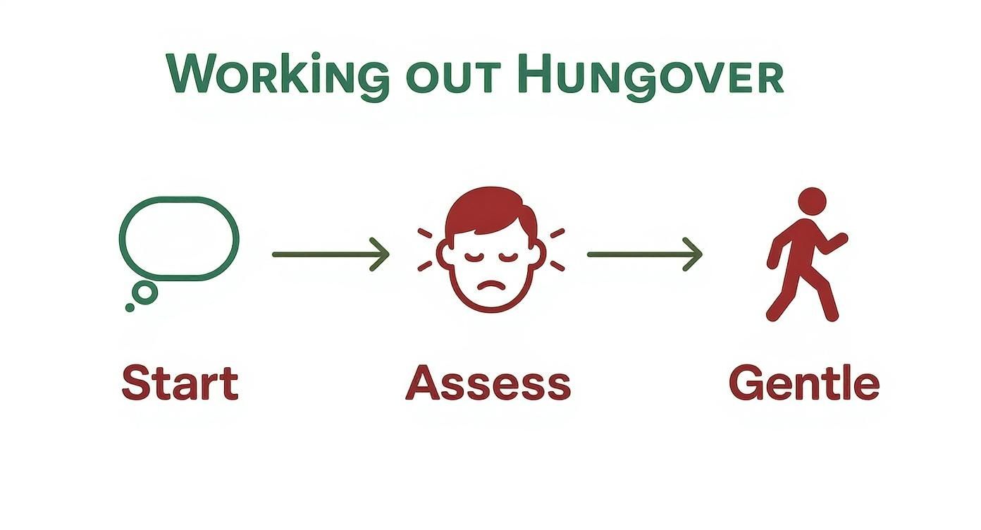 Infographic about working out when hungover
