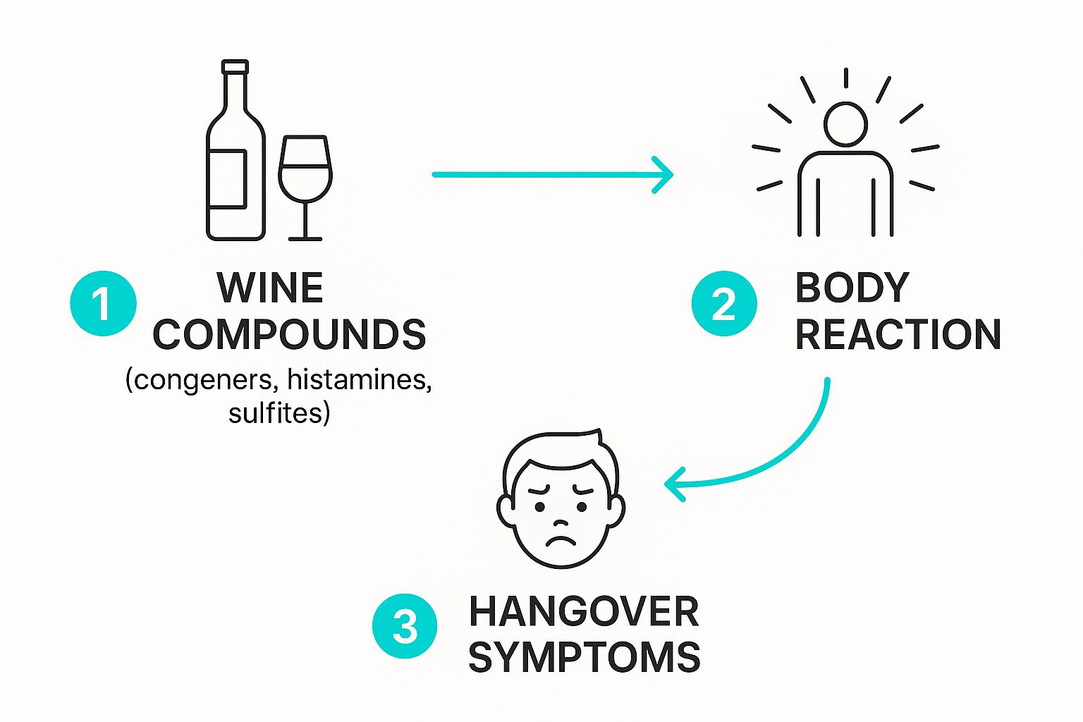 Infographic about cure a wine hangover