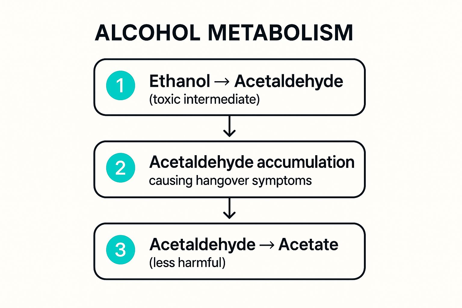 Infographic showing key data about Acetaldehyde Toxicity