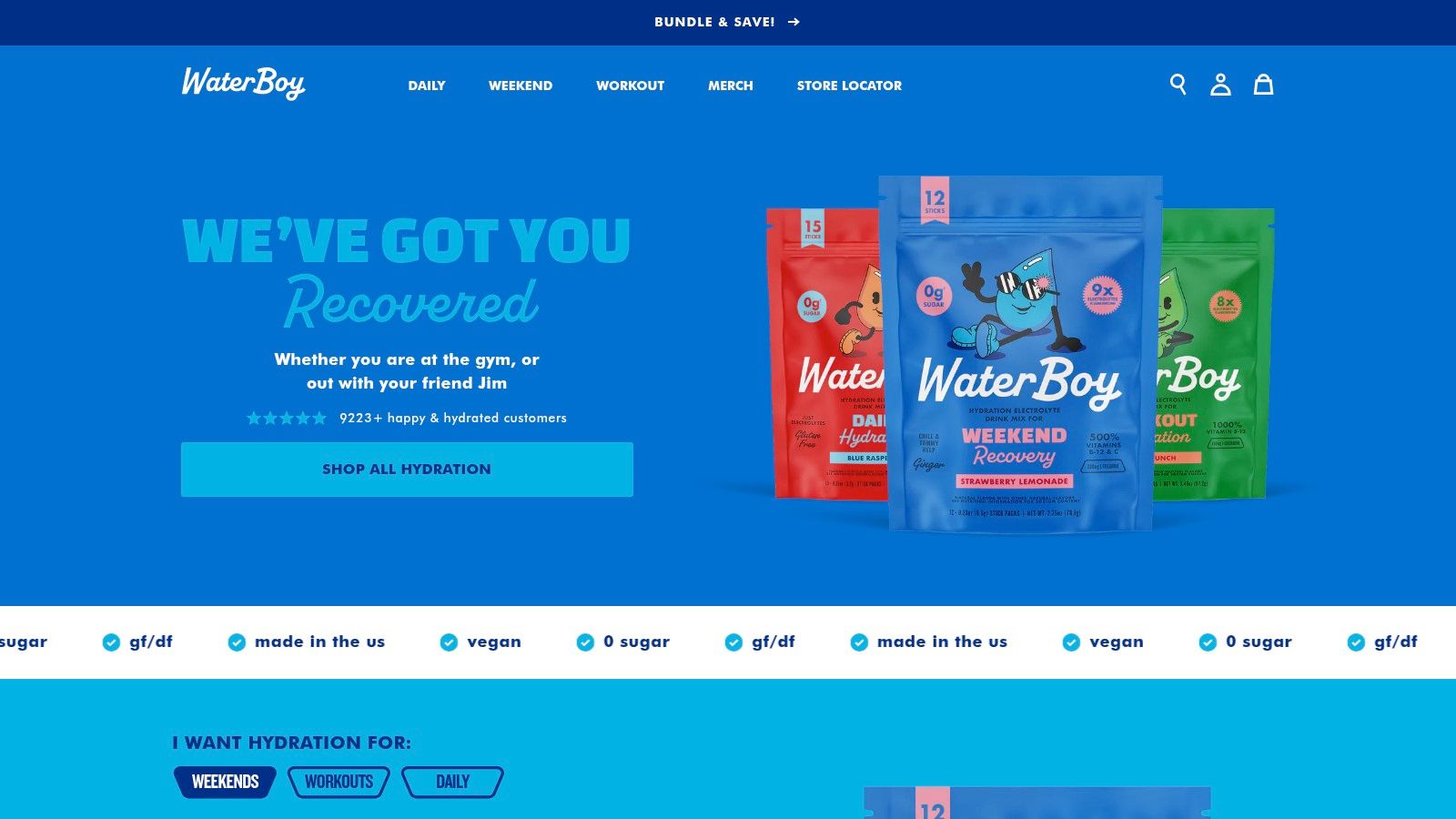 Waterboy Hangover Relief Electrolyte Powder Packets
