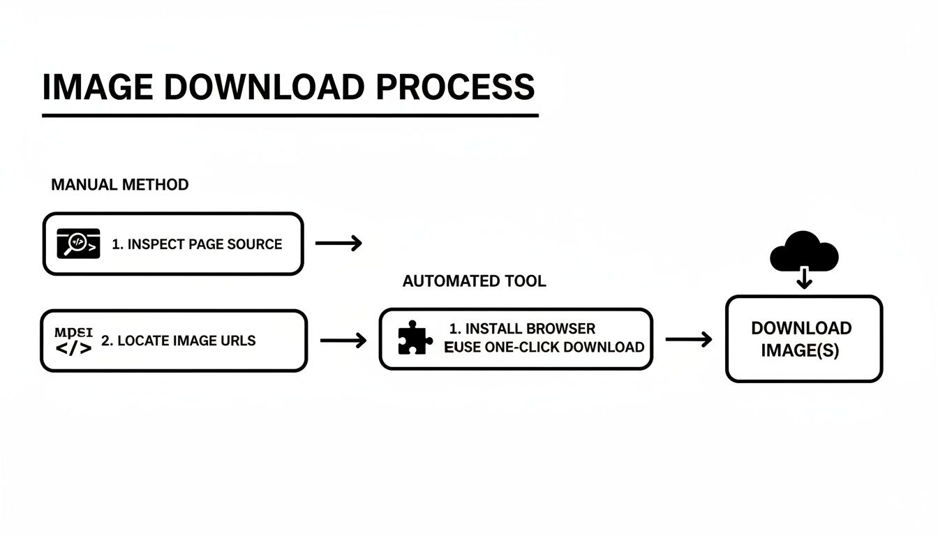 Diagram detailing how to download images from websites using manual source inspection or an automated browser tool.