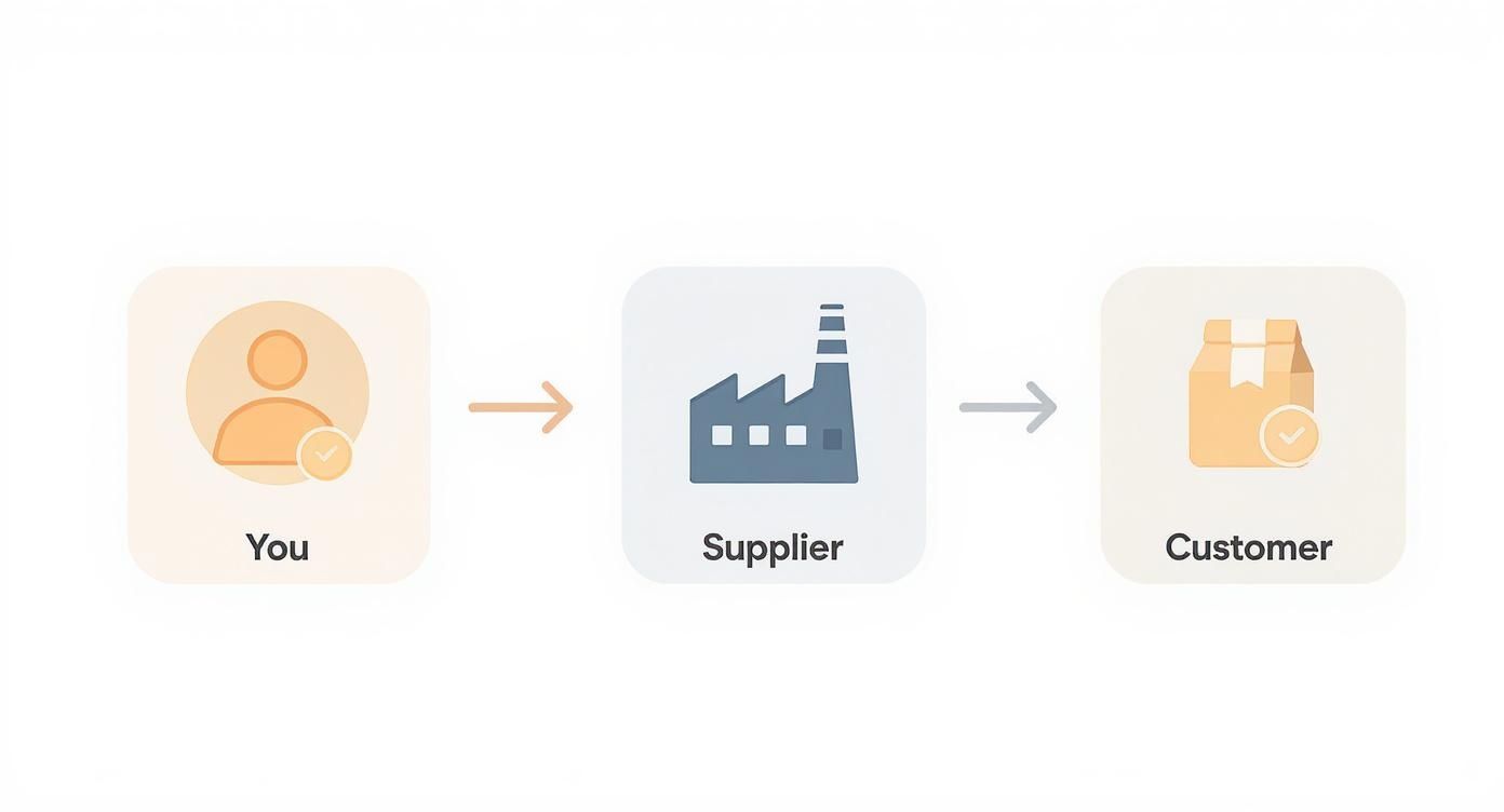 Infographic about private label drop shipping