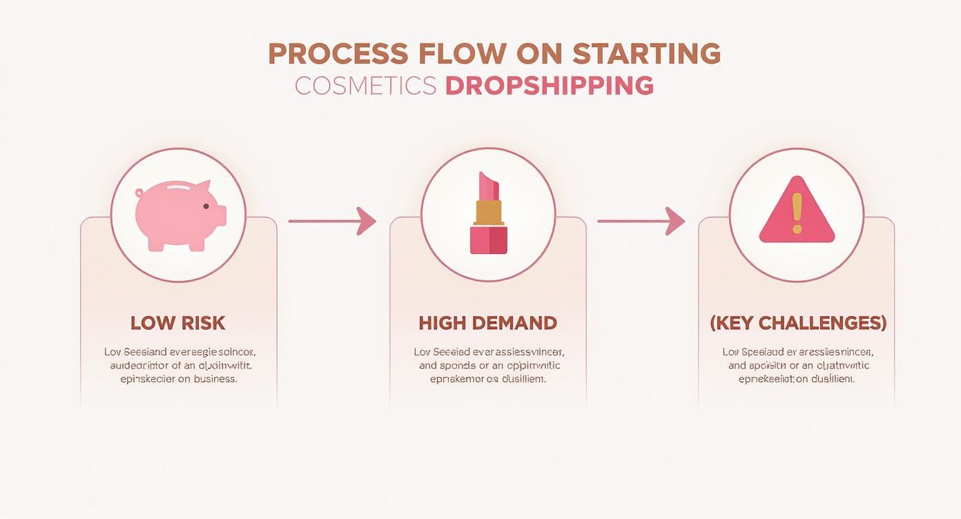 A process flow diagram illustrating the steps for starting cosmetics dropshipping, highlighting low risk, high demand, and key challenges.