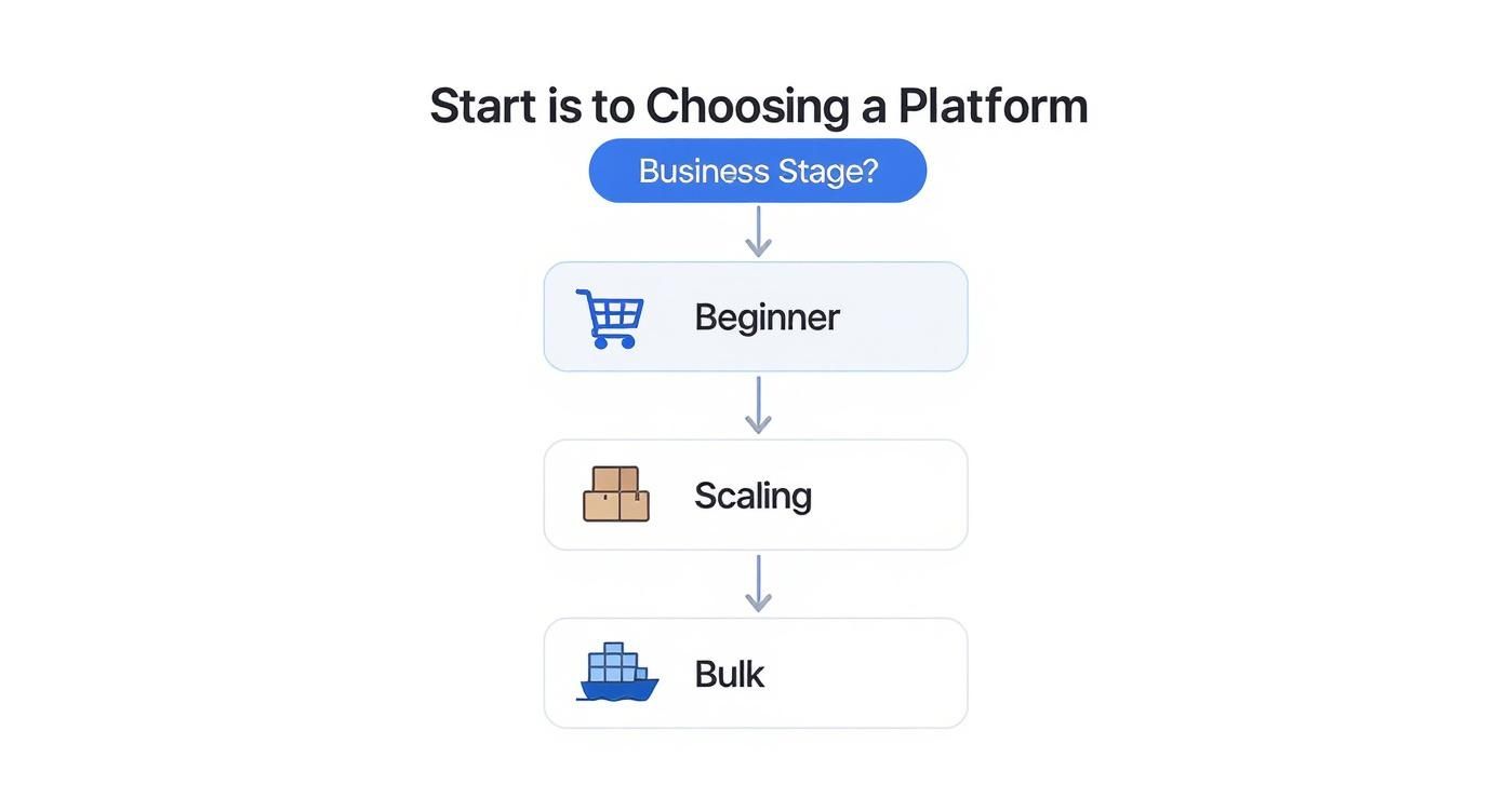 Flowchart illustrating business stages: Beginner, Scaling, and Bulk for choosing the right platform.