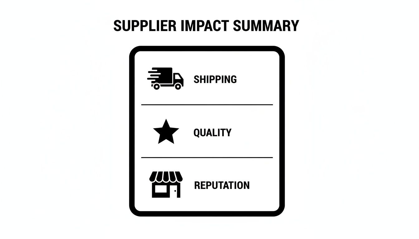 A summary of key supplier impacts, including shipping, quality, and reputation, with illustrative icons.