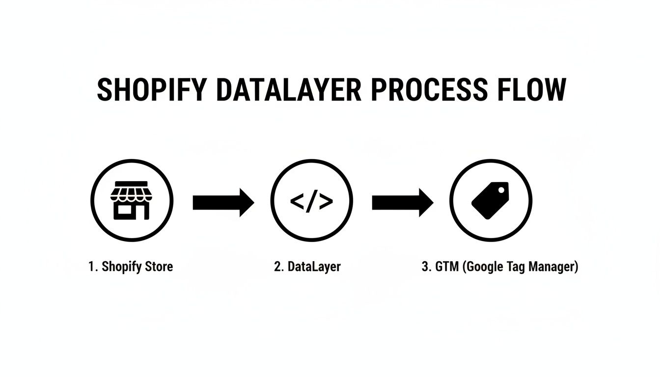 Shopify DataLayer process flow illustrating data collection for Google Tag Manager.