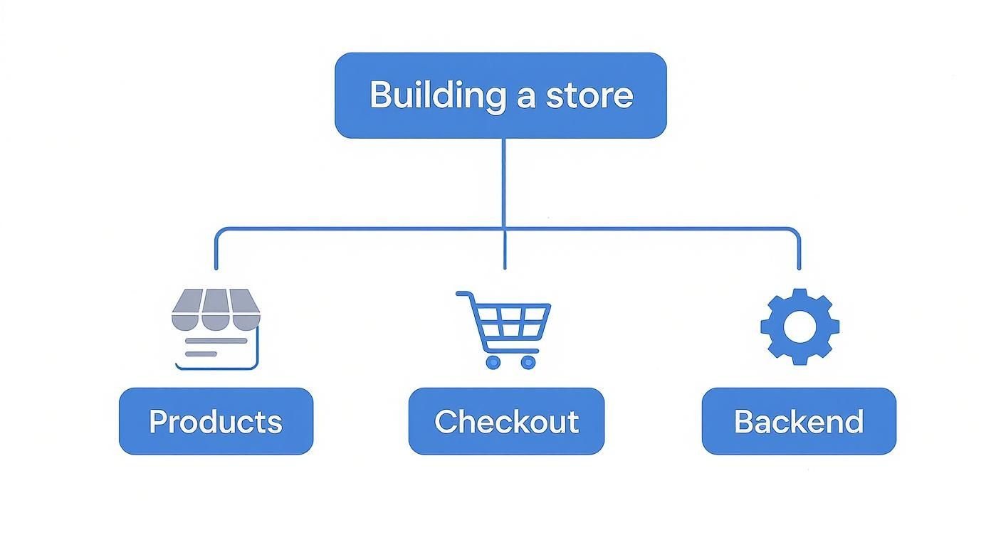 An infographic decision tree showing the key elements of building an ecommerce store: Products, Checkout, and Backend.