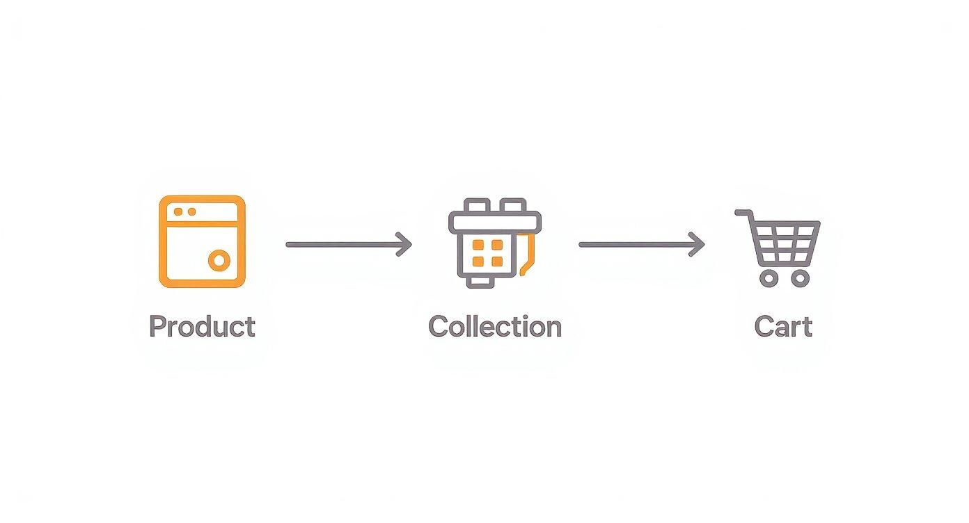 Diagram illustrating an e-commerce shopping flow from Product icon to Collection icon to Cart icon.