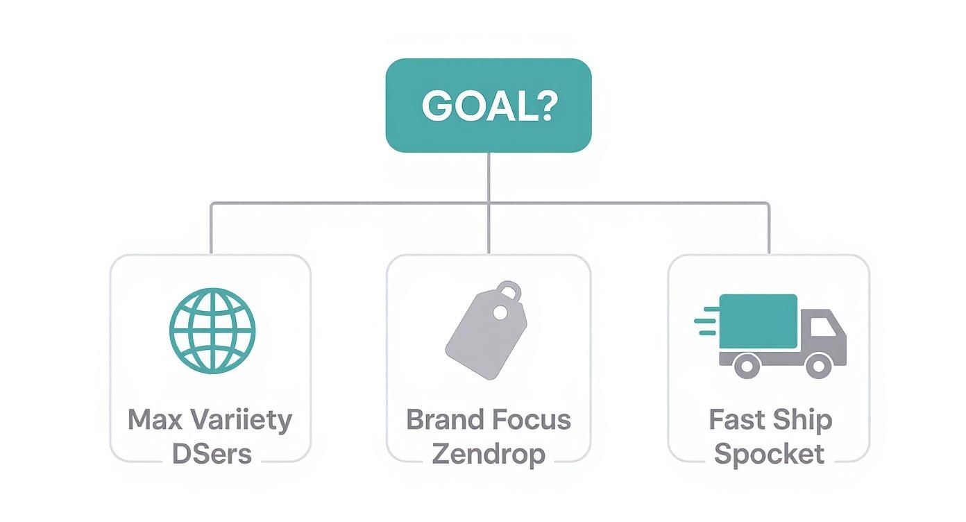 Flowchart showing three dropshipping goals: maximize variety with DSers, brand focus with Zendrop, fast shipping with Spocket