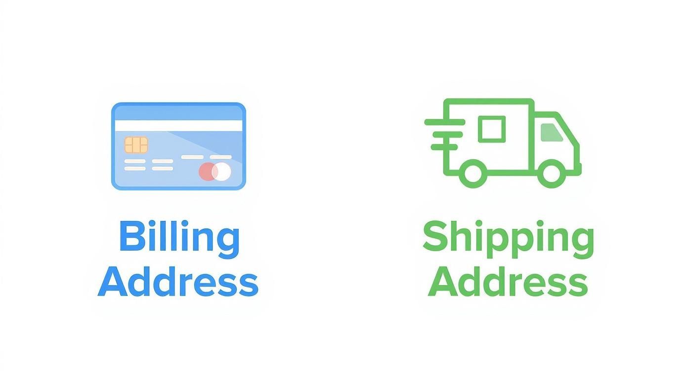 Infographic about shipping address vs billing address