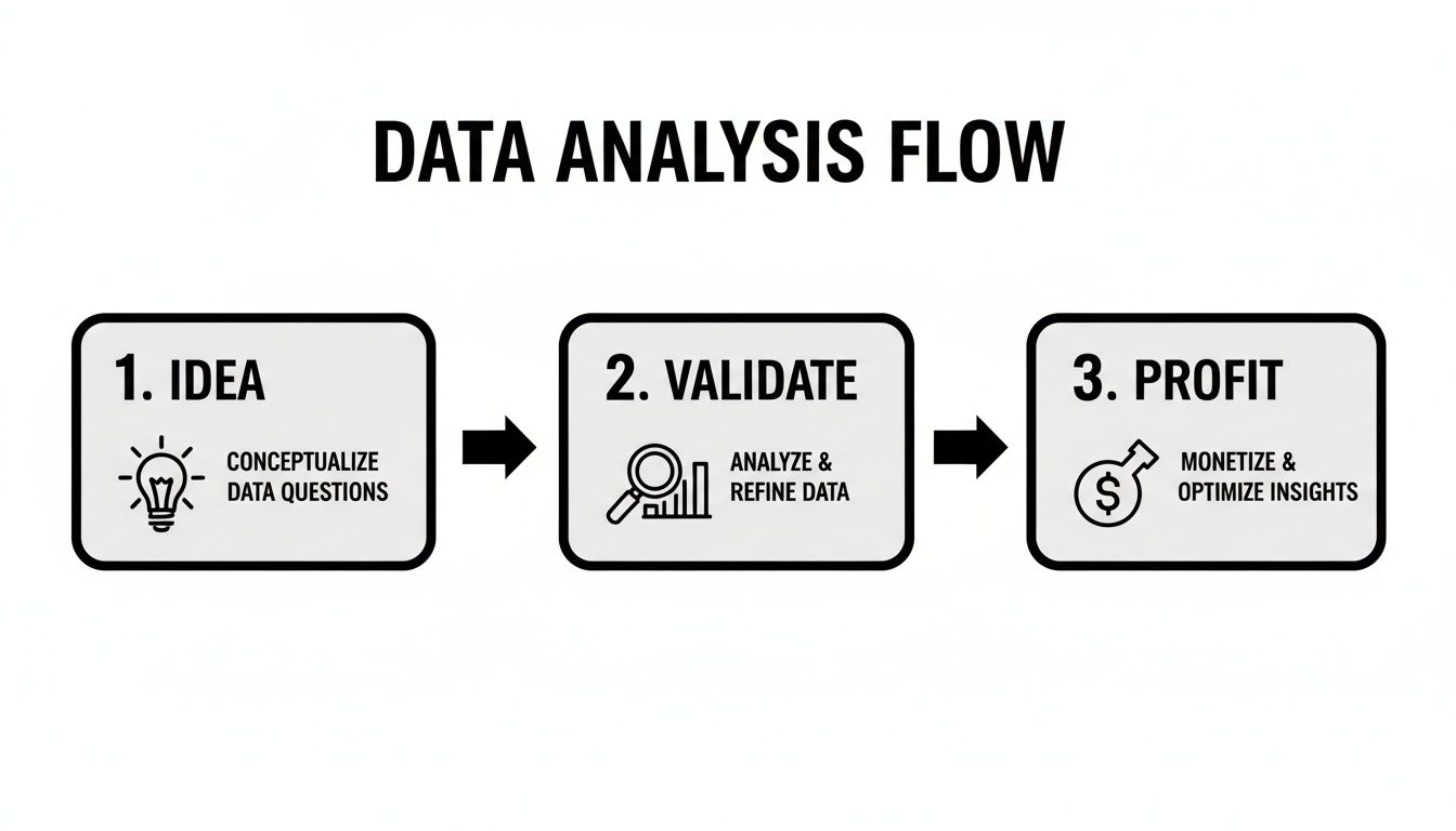 A flowchart illustrating the data analysis flow in three steps: Idea, Validate, and Profit.