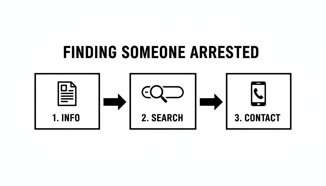 A three-step process diagram for finding someone arrested, showing Info, Search, and Contact stages.