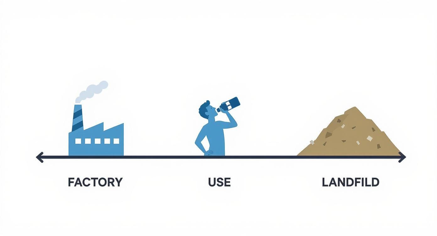 Infographic about what are single use plastics