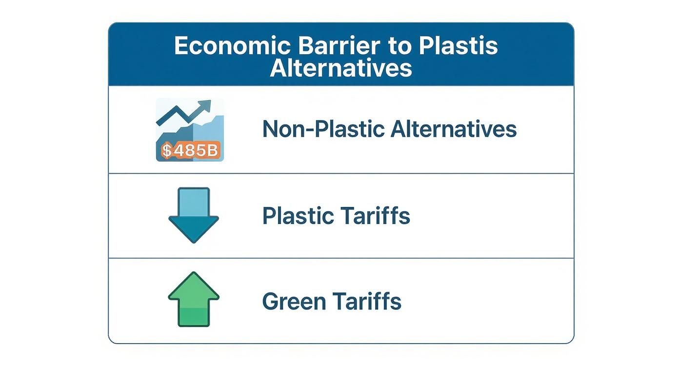 Infographic about alternatives to single use plastic