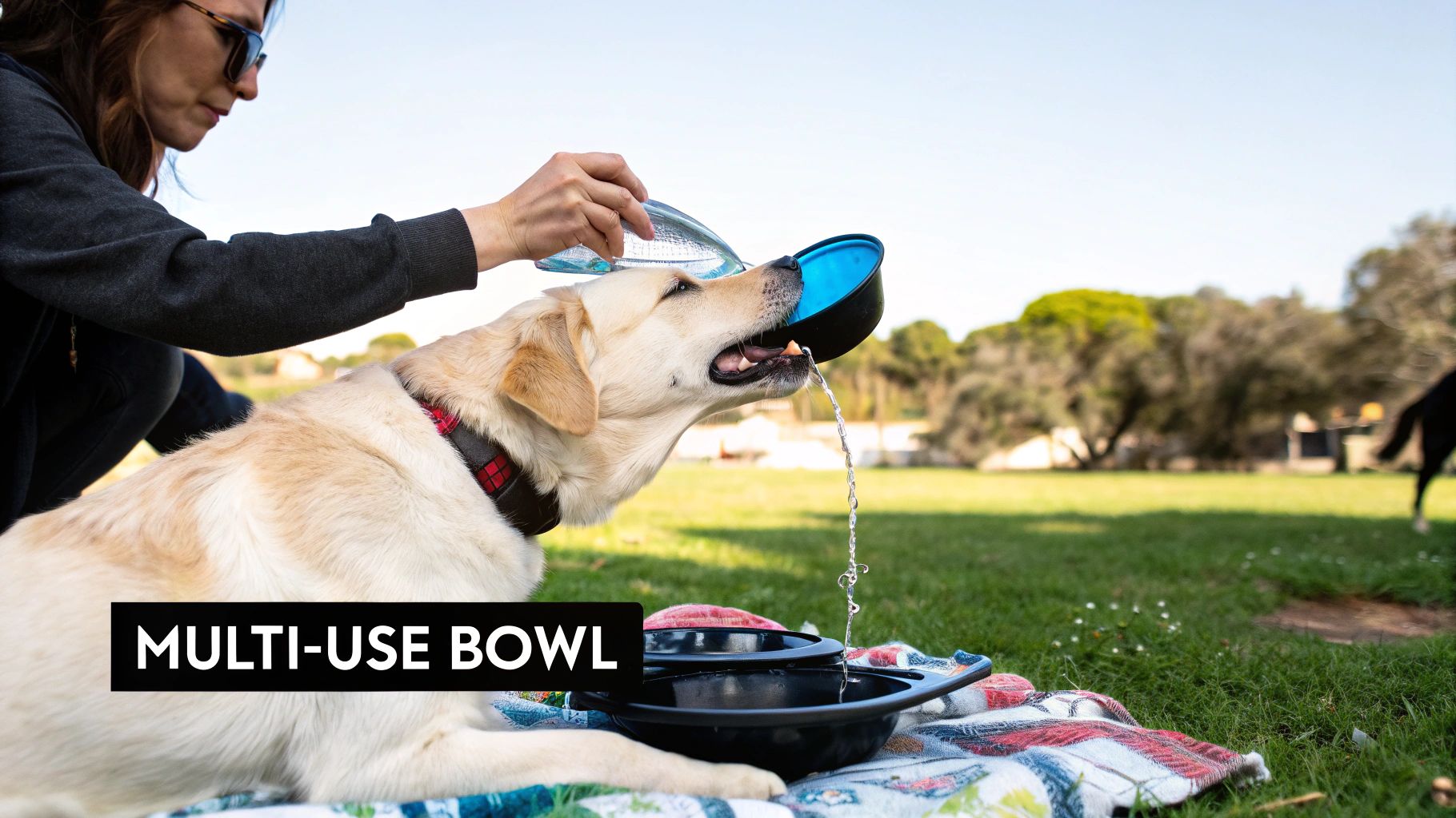 A person using a collapsible camping bowl for their dog in an outdoor setting.