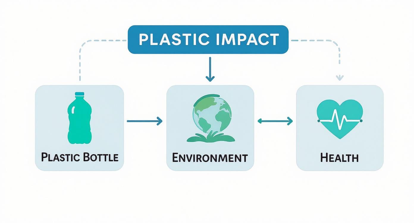 A diagram illustrating the impact of plastic bottles on the environment and human health.