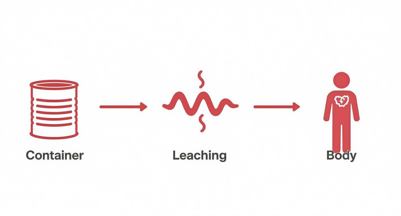 Infographic about what is bpa free plastic
