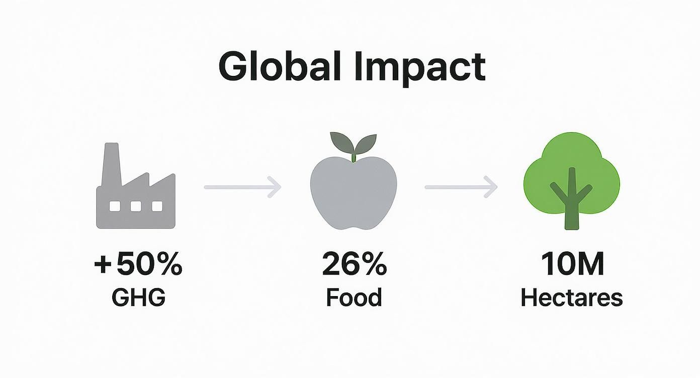 Infographic about what is sustainable living
