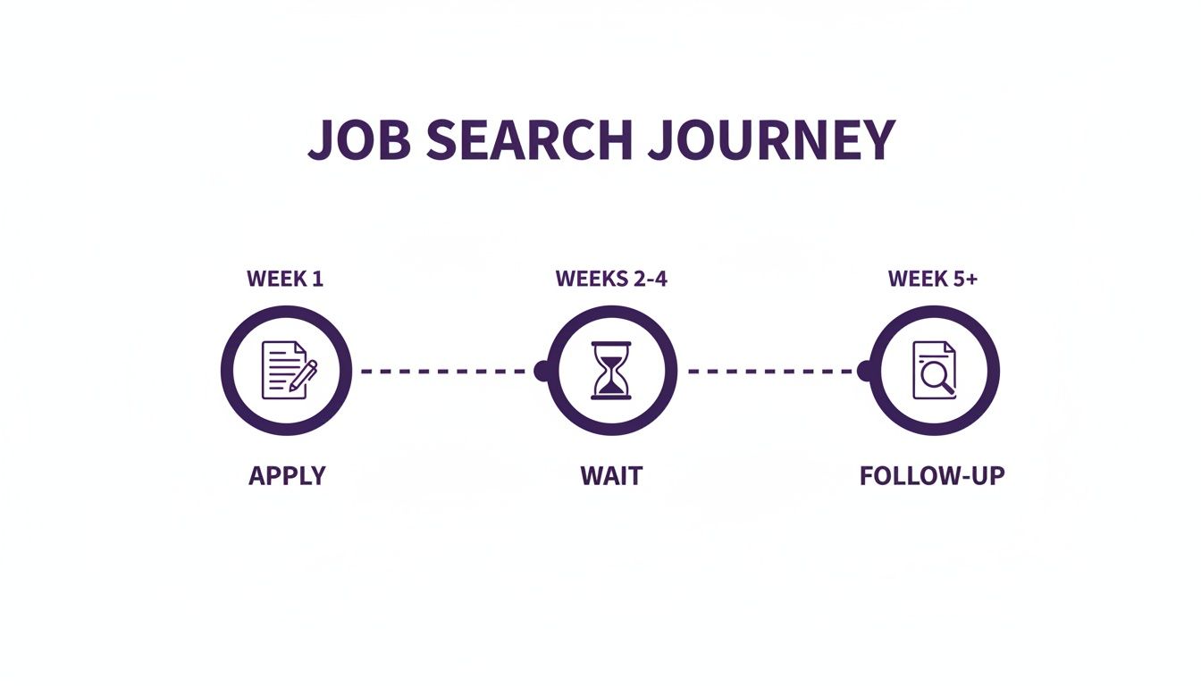 Timeline illustrating the job search journey, detailing apply, wait, and follow-up stages.