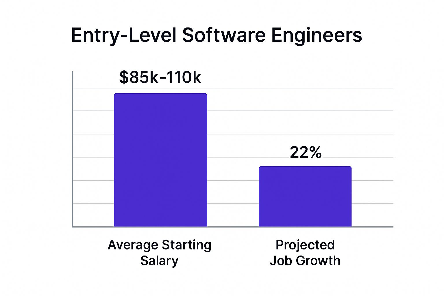 Infographic showing key data about Software Engineer/Developer