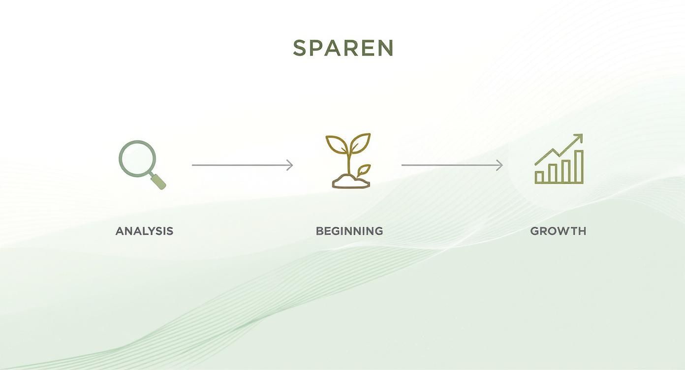 Infografik zum Sparen, die den Prozess von Analyse, Beginn und Wachstum mit Symbolen darstellt.