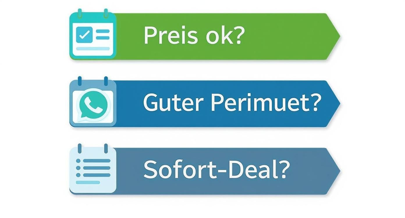 Infographic about tablet bis 150 euro