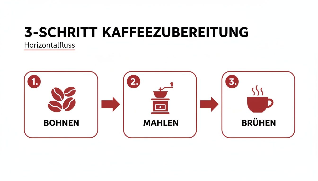 Infografik: 3-Schritt Kaffeezubereitung mit Bohnen, Mahlen und Brühen in einem horizontalen Fluss.