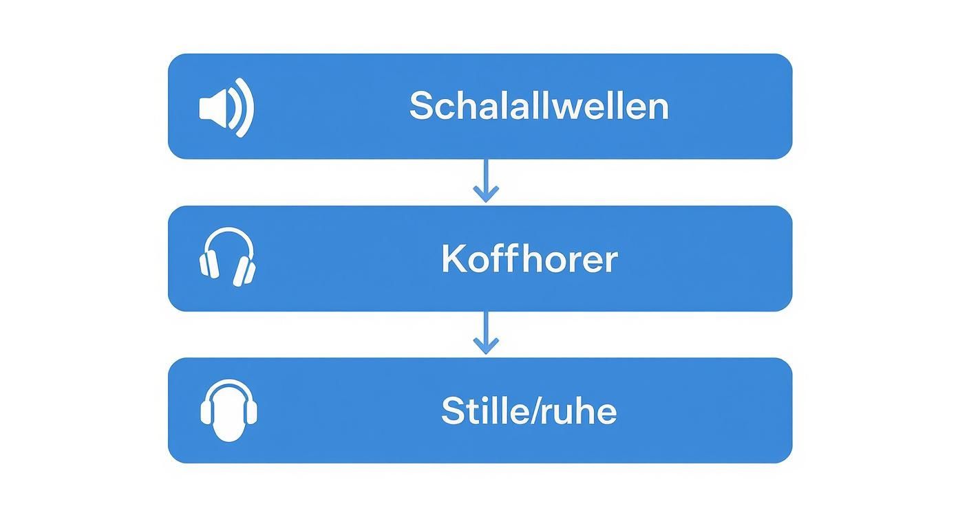 Infographic about noise cancelling kopfhörer günstig