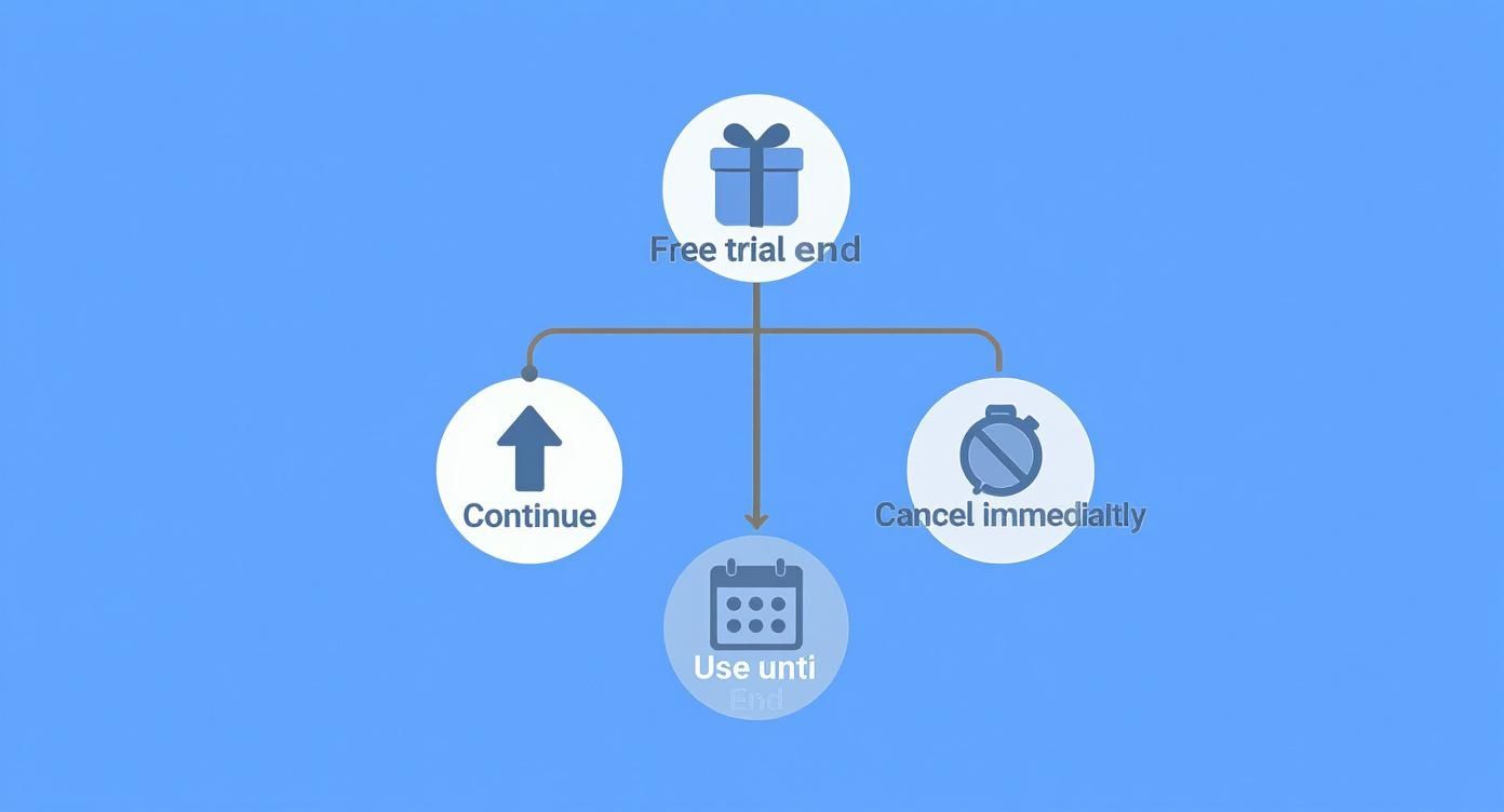 Infografik about was kostet kindle unlimited für prime mitglieder