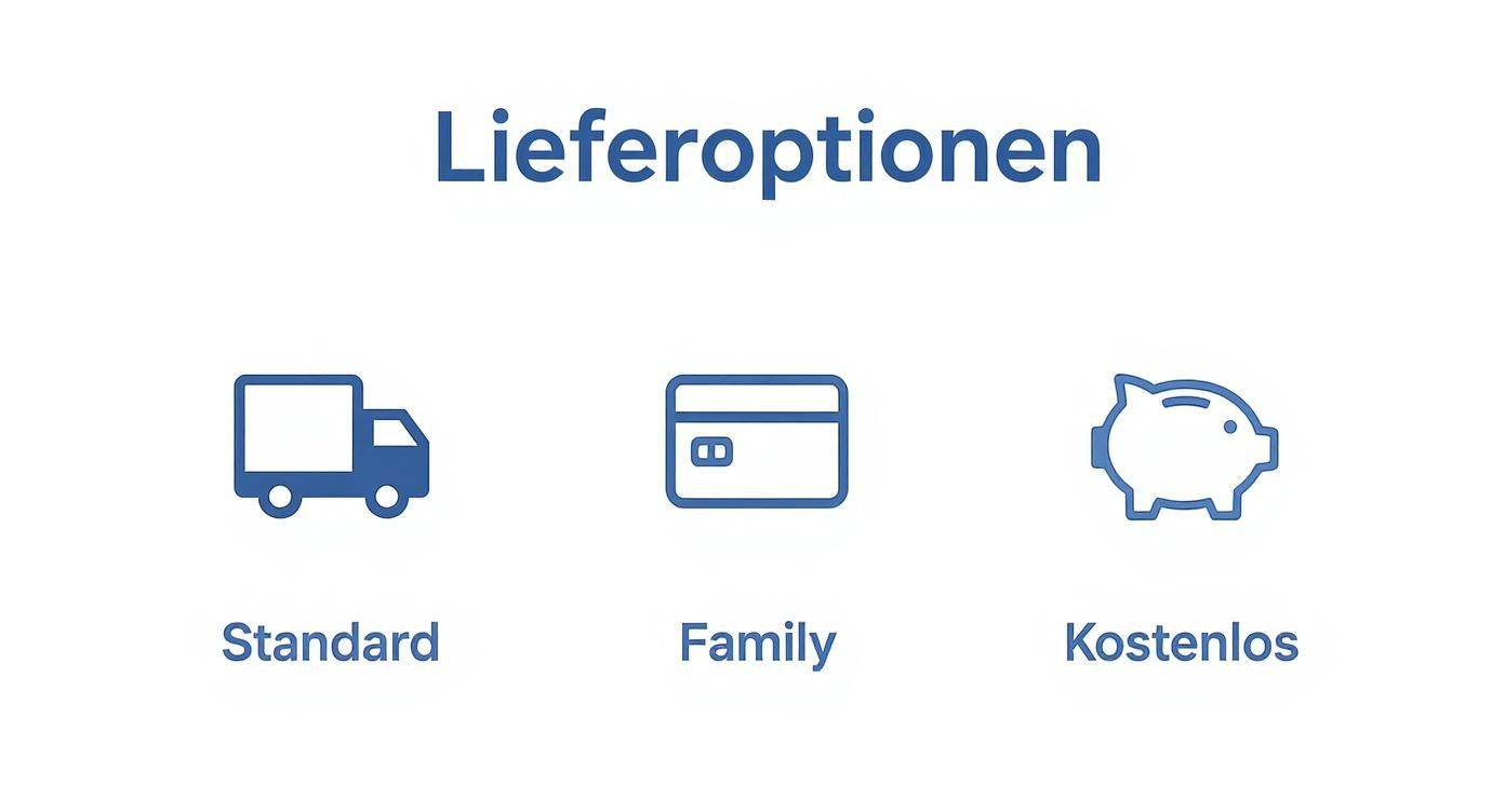Übersicht der Lieferoptionen: Standardlieferung mit LKW, Family-Lieferung mit Kreditkarte und kostenlose Lieferung mit Sparschwein-Symbol.