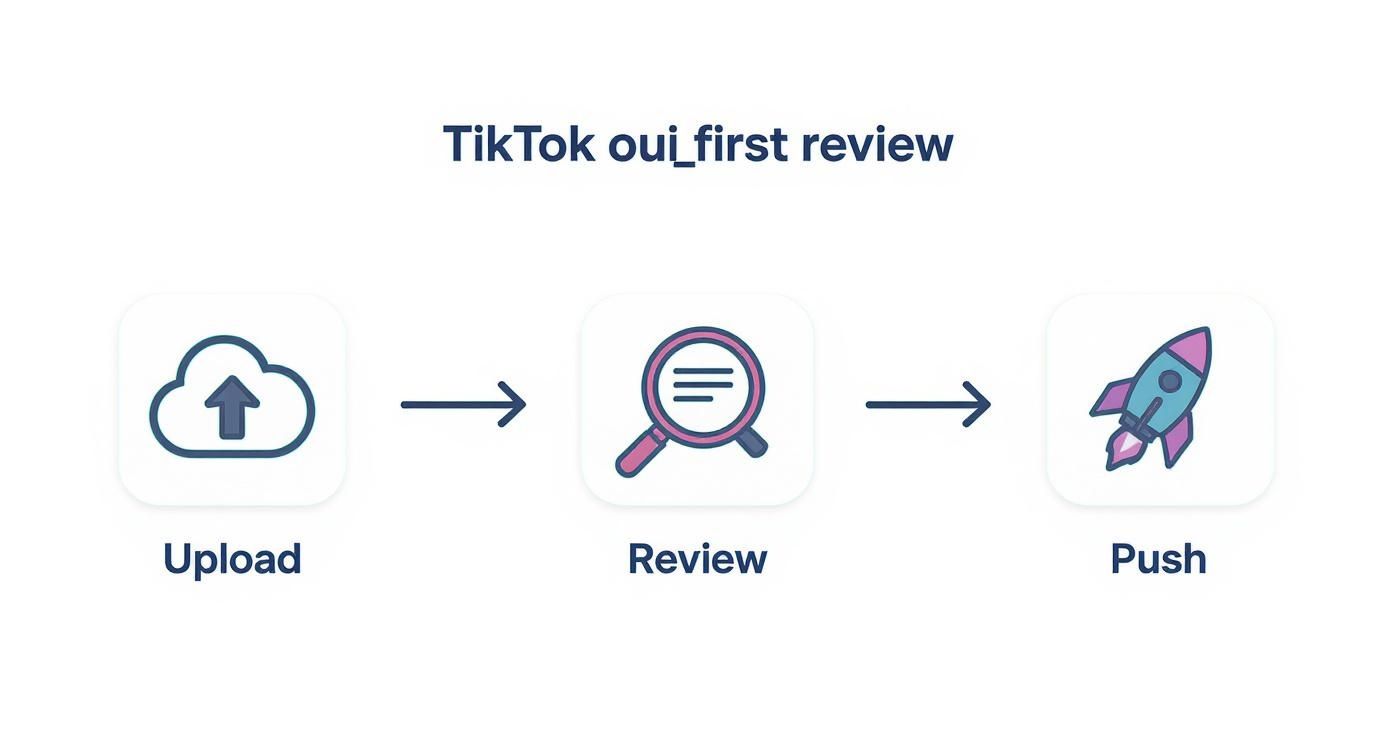 Why Is My TikTok Getting No Views? Actionable Fixes RepliBee