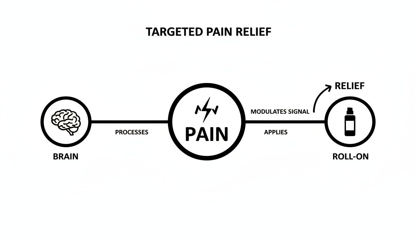Diagram illustrating targeted pain relief. The brain processes pain, then a roll-on product applies relief by modulating the pain signal.