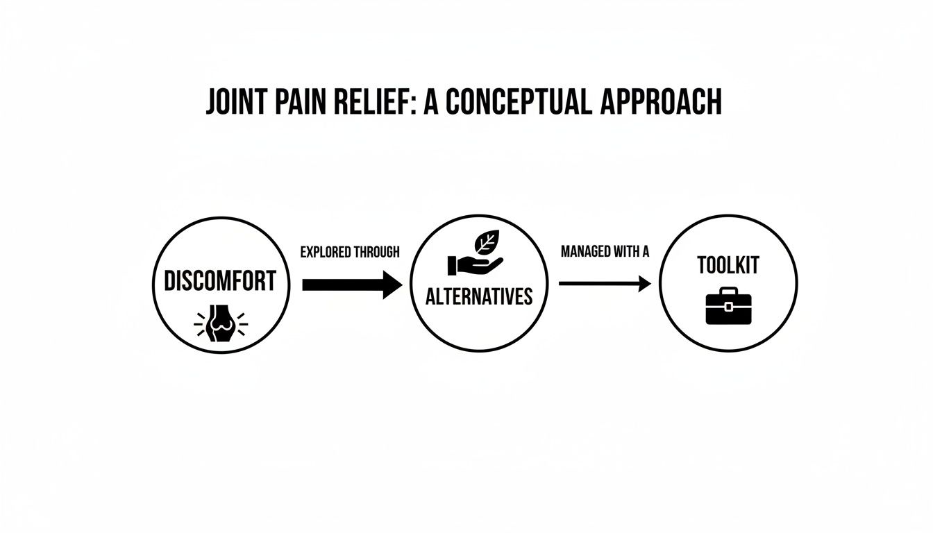Conceptual diagram illustrating joint pain relief, from discomfort to exploring alternatives and a toolkit.