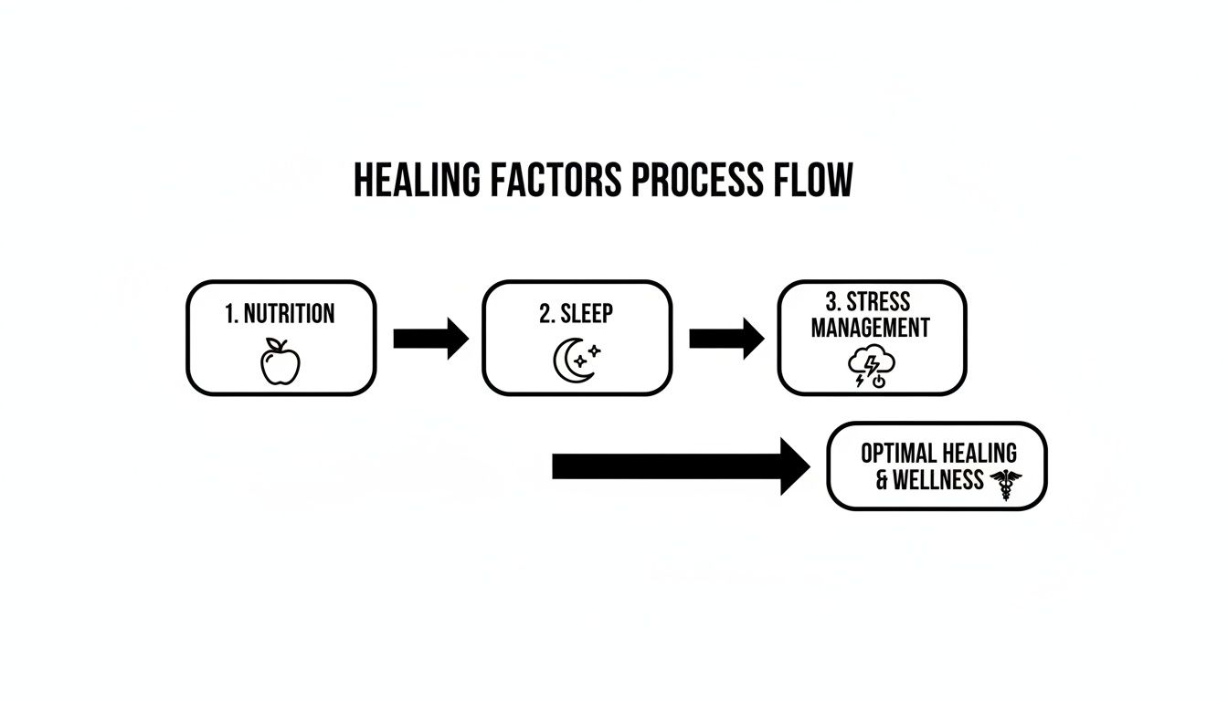 A healing factors process flow diagram illustrating nutrition, sleep, and stress management leading to optimal healing and wellness.
