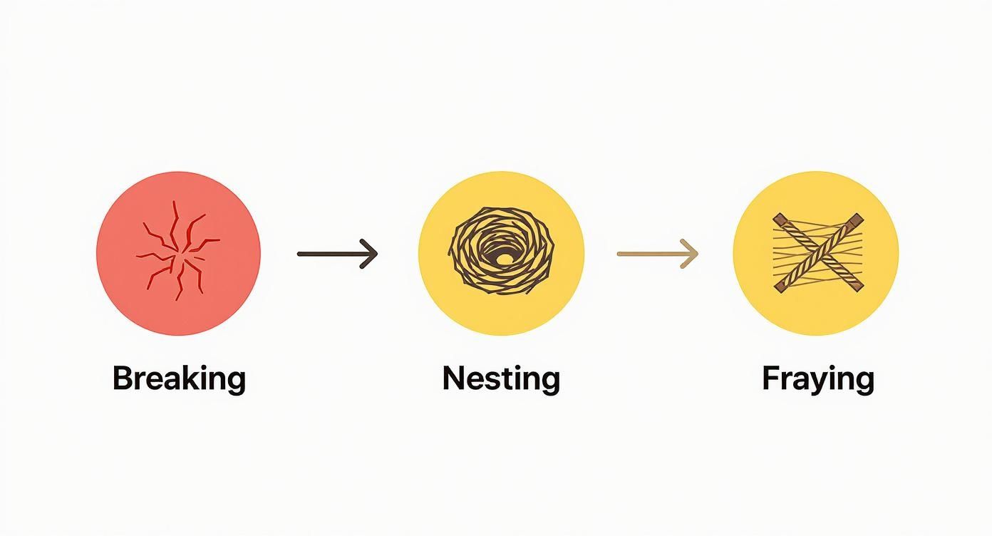 A diagram illustrates three stages: Breaking (red cracked circle), Nesting (yellow bird's nest), and Fraying (yellow crossed threads).