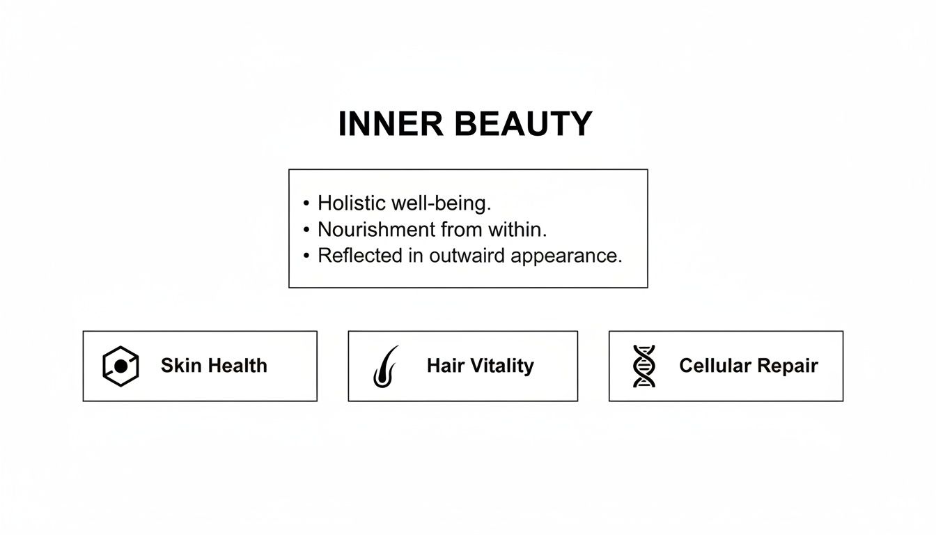 Diagram explaining inner beauty concepts: holistic well-being, nourishment from within, reflected in skin health, hair vitality, and cellular repair.