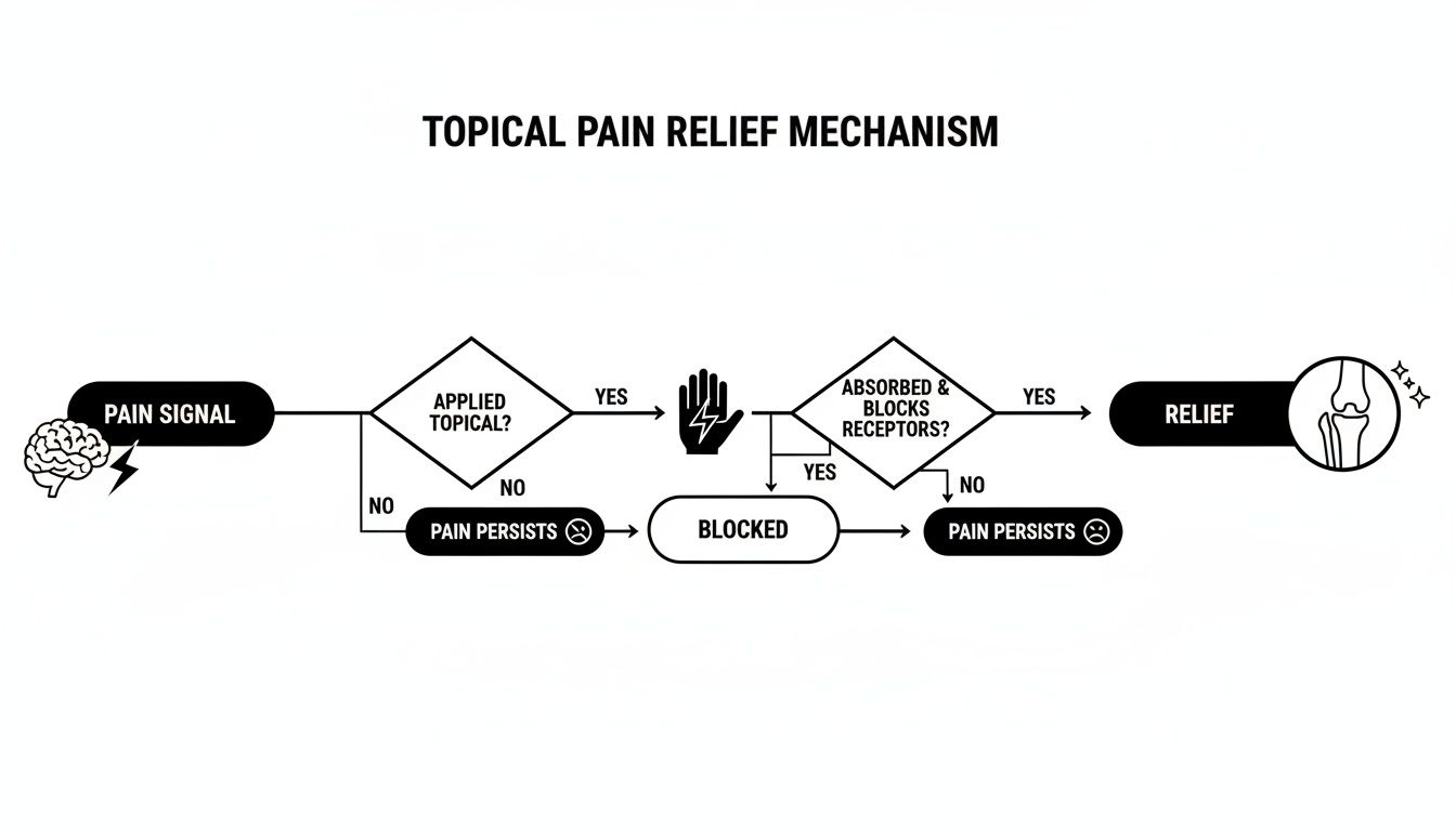 Flowchart illustrating the mechanism of topical pain relief, from pain signal to successful receptor blocking and relief.