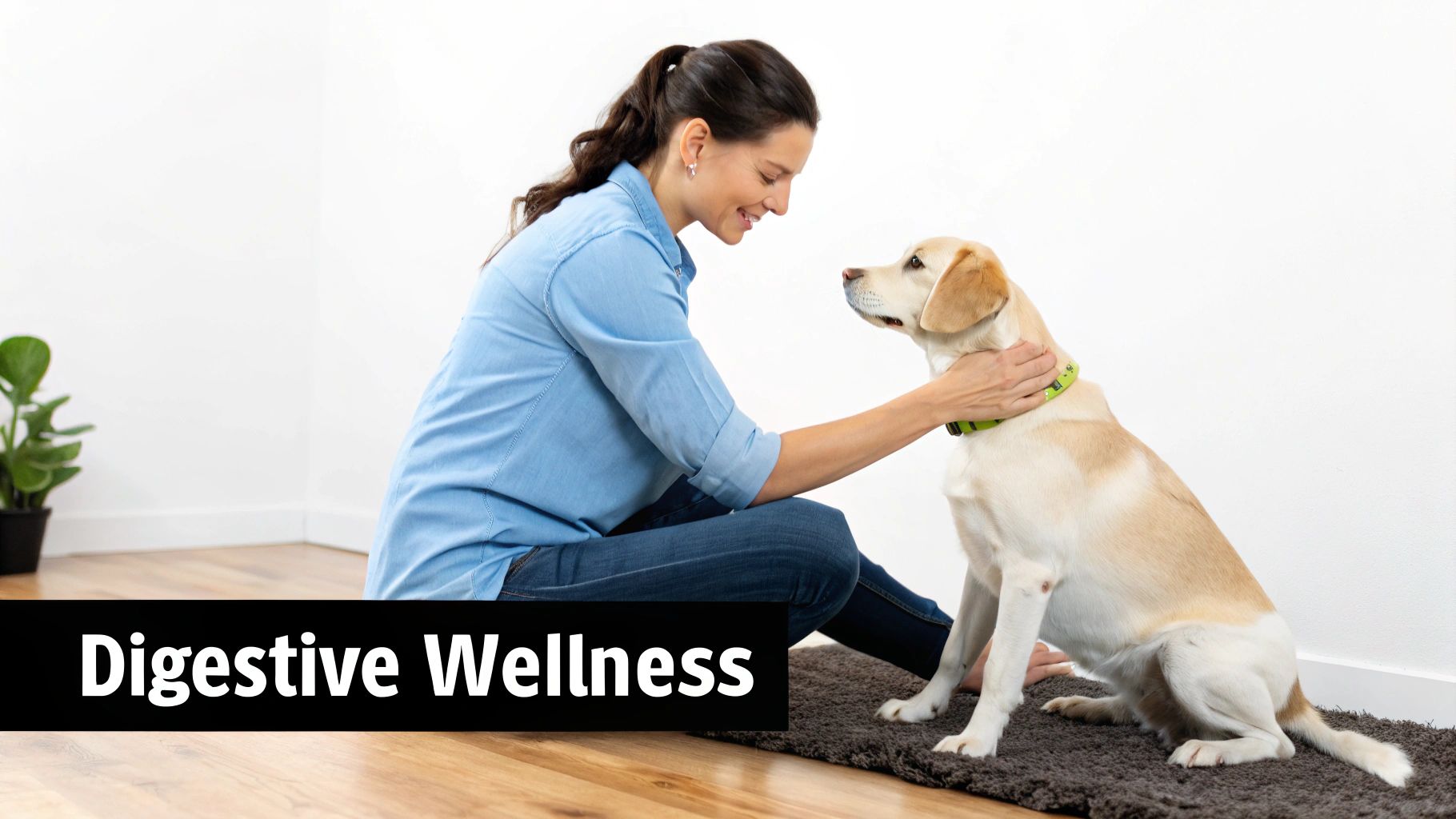 A happy dog with a healthy digestive system, being fed a supplement by its owner