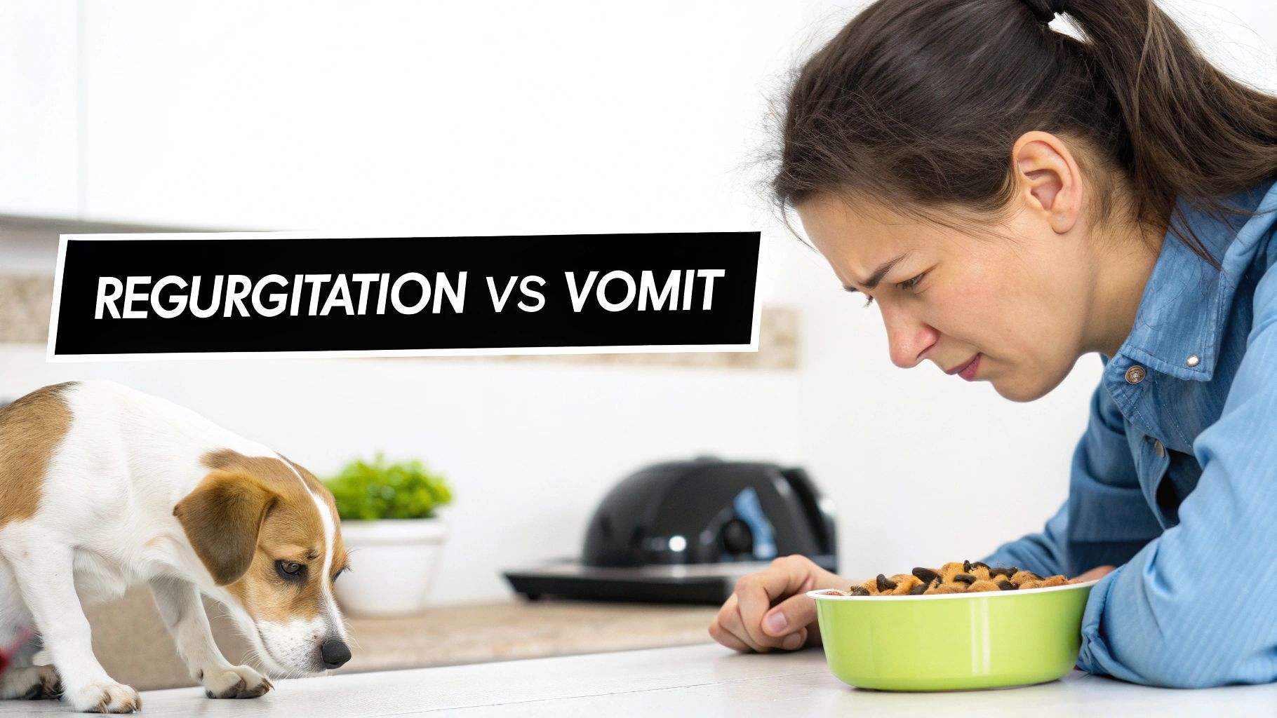 Concerned woman looking at a dog near a food bowl with text 'Regurgitation vs Vomit'.