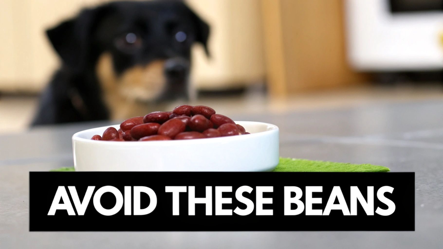 A blurred dog in the background looks at a white bowl filled with red kidney beans, with text saying 'AVOID THESE BEANS'.